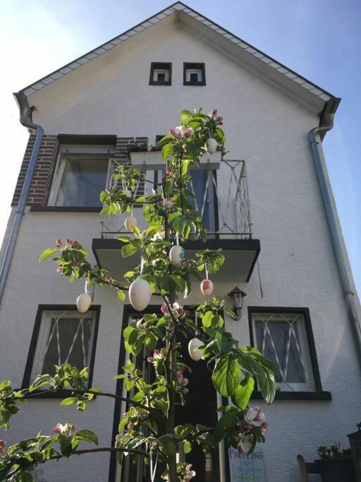Schoenes Haus Mit Grossem Garten Seligenstadt Exterior photo